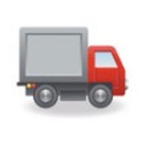 Fast Delivery Fast Delivery